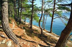 ein tolles Bild von der Insel Losinj in Kroatien