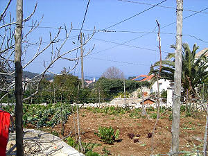 Appartement roberto3