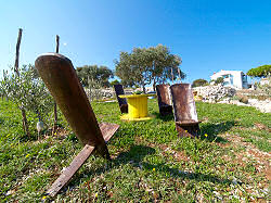 Botanischer Garten Mali Losinj / Kroatien