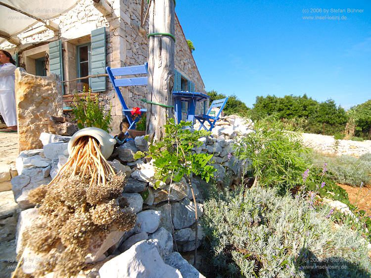 Botanischer Garten Mali Losinj / Kroatien