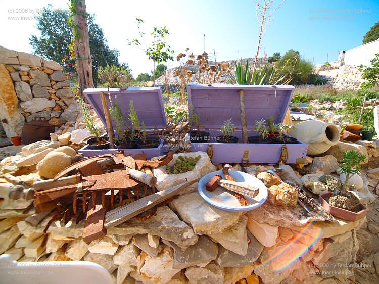 Botanischer Garten Mali Losinj / Kroatien