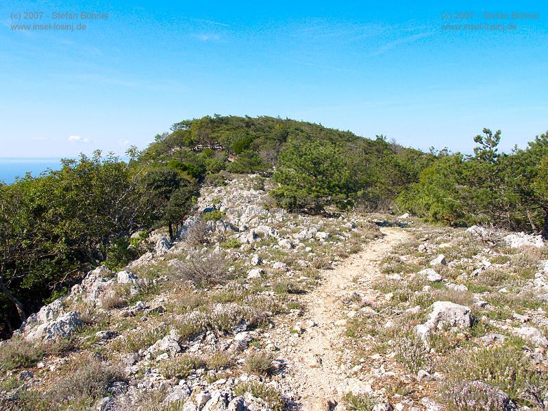 Wanderung zum Osorscica 2006